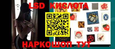 шишки Канаш