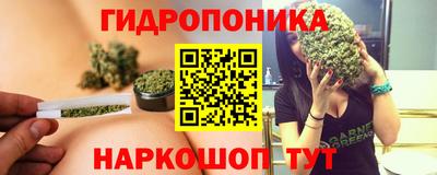 шишки Канаш