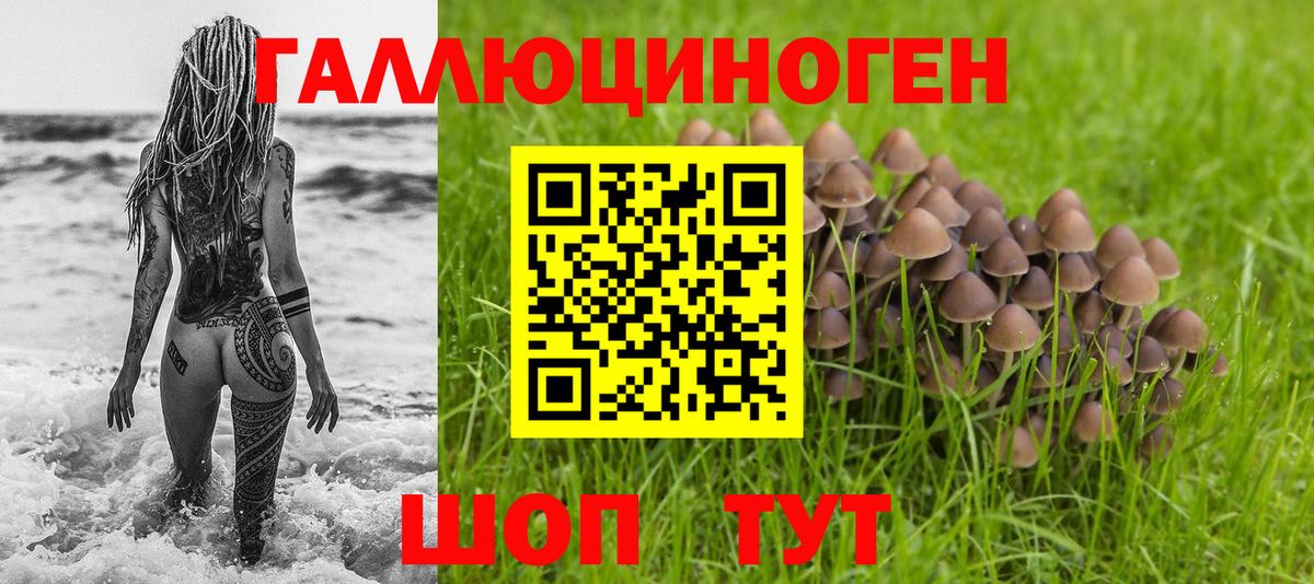 Галлюциногенные грибы Psilocybine cubensis  Псилоцибиновые грибы ЛСД  как найти наркотики  Вход с VPN  Кстово 