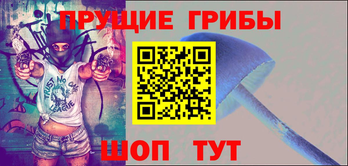 Псилоцибиновые грибы Psilocybine cubensis Кстово